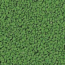 May Green