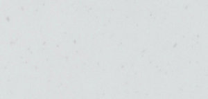 b92504